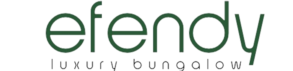 Efendy Bungalow